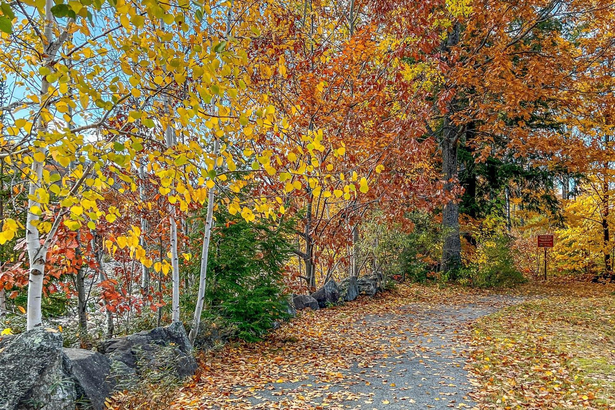 Autumn Colors Condo At Rivergreen Линкълн Екстериор снимка